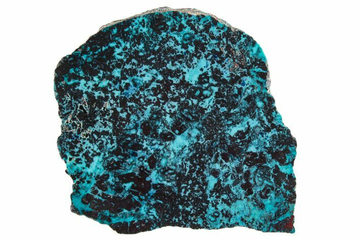 Vibrant Chrysocolla and Shattuckite Section - Mexico #281768